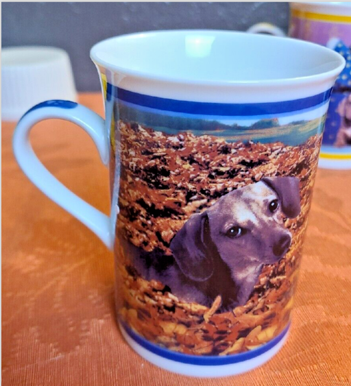 Set 6 The Danbury Mint "Darling Dachshunds" Porcelain Collector Mugs Weiner Dog