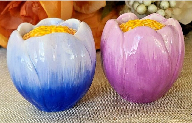 Purple And Blue Flower Salt And Pepper Shaker